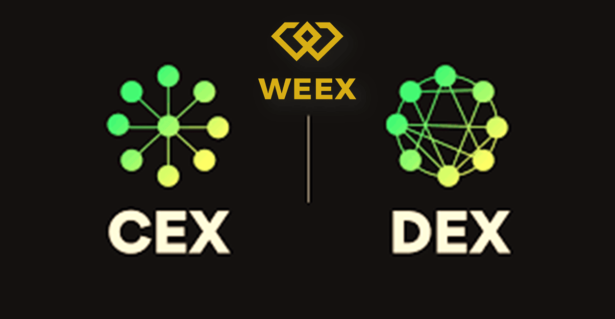 WEEX：这类meme币为什么在不同交易环境下的成交体验会不一样
